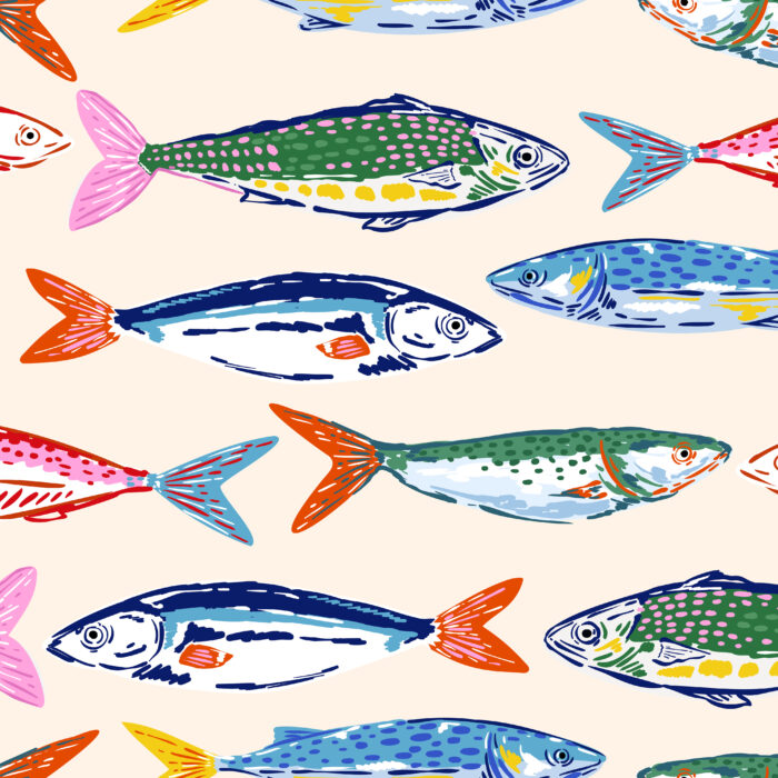 Licra pacific Sardine club 03