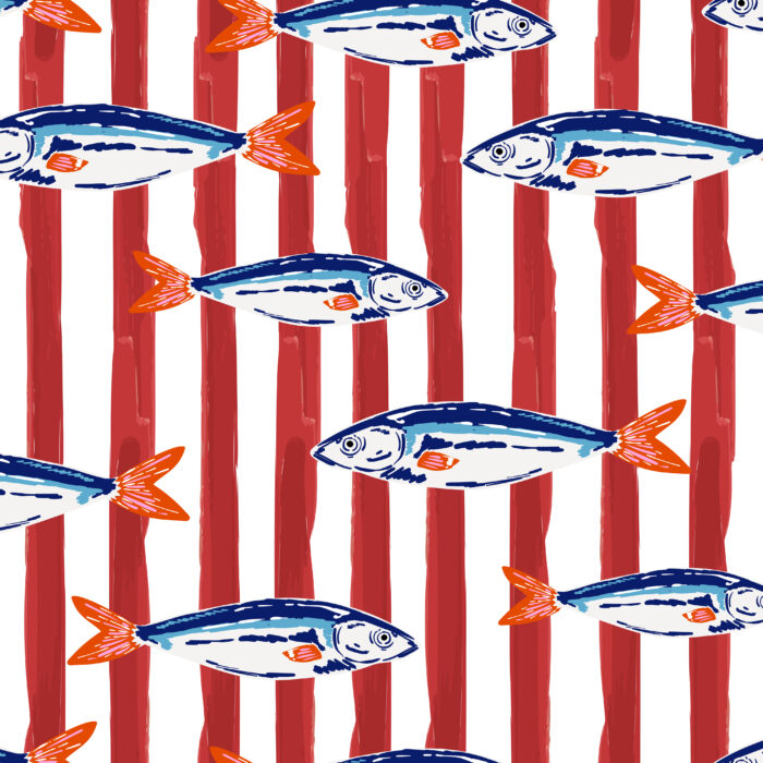 Licra pacific Sardine club 7