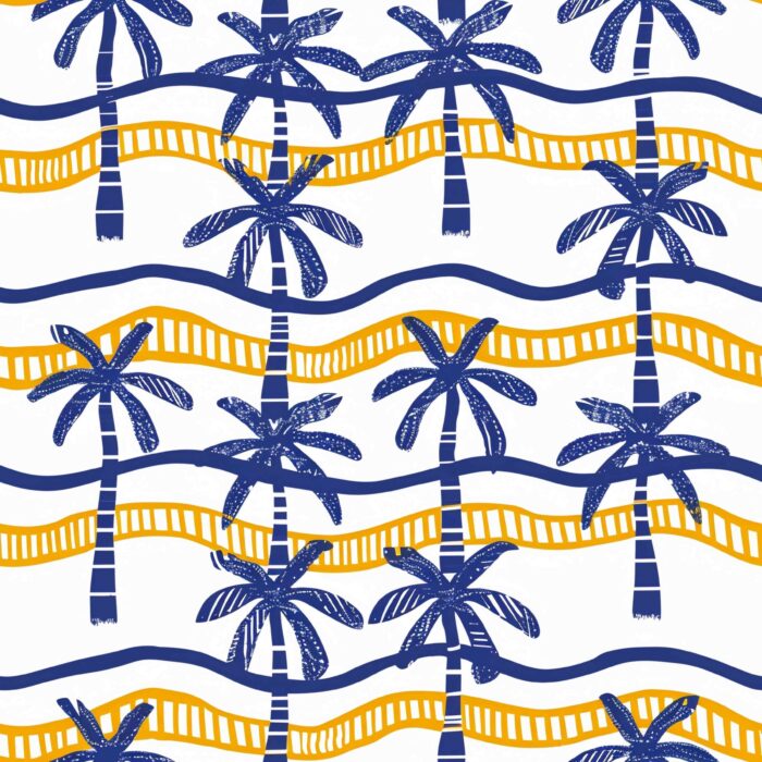 Licra pacific Coastal Summer 12