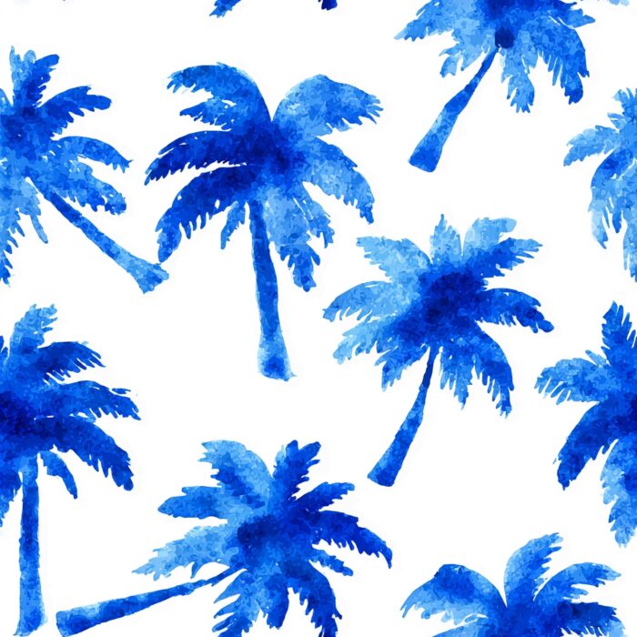 Licra pacific Coastal Summer 14