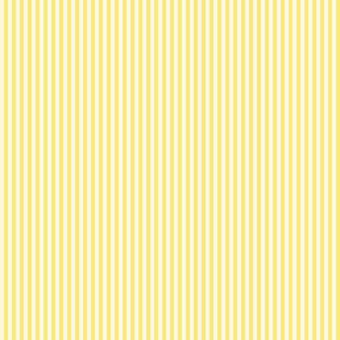 Licra pacific Stripe 12