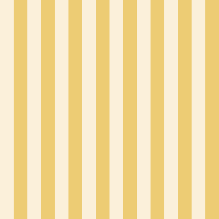 Licra pacific Stripe 3