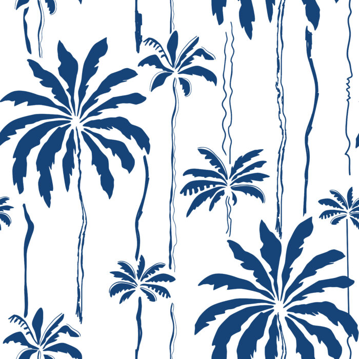 Licra pacific blue summe 18